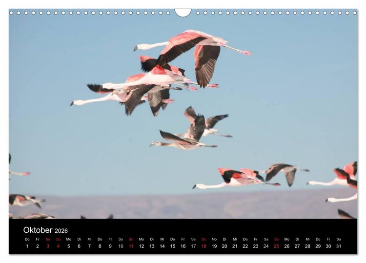 Produktbild: Bolivien (Wandkalender 2026 DIN A3 quer), CALVENDO Monatskalender