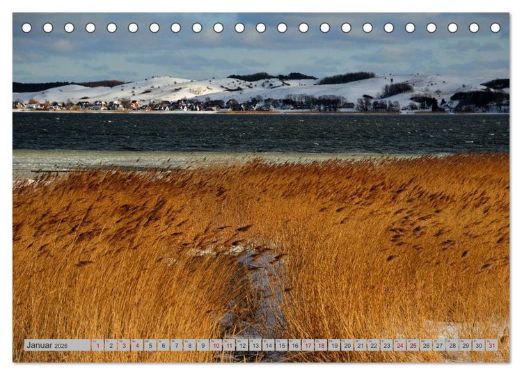 Produktbild: Halbinsel M&ouml;nchgut - R&uuml;gens sch&ouml;nste Seite (Tischkalender 2026 DIN A5 quer), CALVENDO Monatskalender