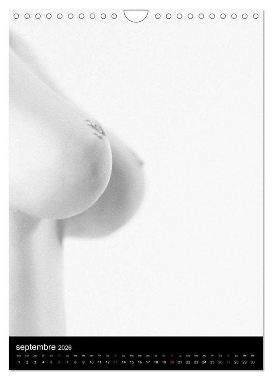 Produktbild: F&eacute;minit&eacute; (Calendrier mural 2026 DIN A4 horizontal), CALVENDO calendrier mensuel