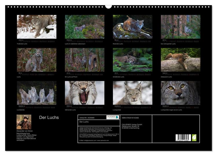 Produktbild: Der Luchs (Wandkalender 2026 DIN A2 quer), CALVENDO Monatskalender