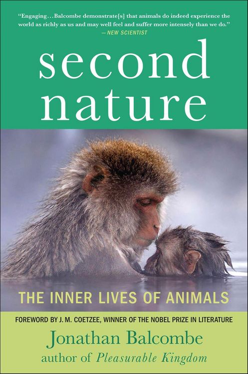 Produktbild: Second Nature