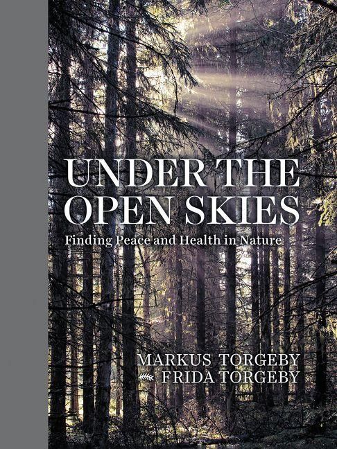 Produktbild: Under the Open Skies