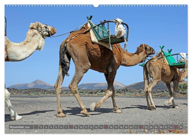 Produktbild: Urlaub auf Lanzarote (hochwertiger Premium Wandkalender 2026 DIN A2 quer), Kunstdruck in Hochglanz