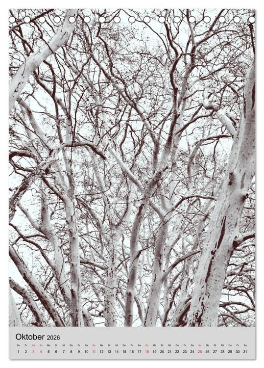 Produktbild: Natur monochrom Die besondere Wirkung (Tischkalender 2026 DIN A5 hoch), CALVENDO Monatskalender