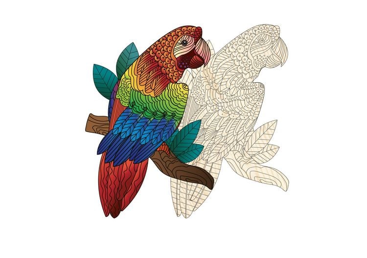 Produktbild: Artefakt Holzpuzzle 2 in 1 Papagei, 172 Teile, in magnetischer Klappschachtel
