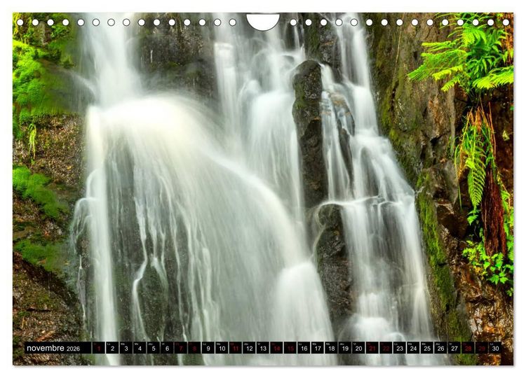 Produktbild: L'&eacute;t&eacute; dans les Vosges (Calendrier mural 2026 DIN A4 vertical), CALVENDO calendrier mensuel