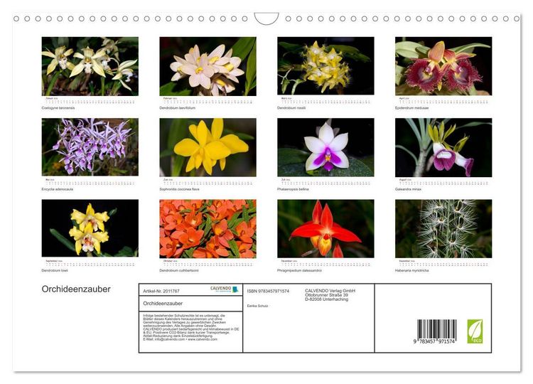 Produktbild: Orchideenzauber (Wandkalender 2026 DIN A3 quer), CALVENDO Monatskalender