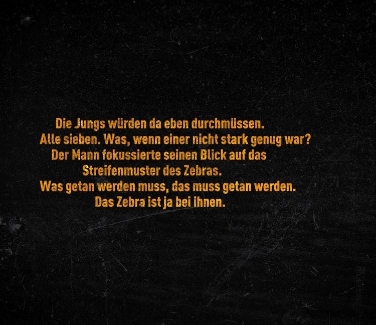 Produktbild: Im Auge des Zebras