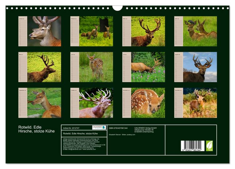 Produktbild: Rotwild. Edle Hirsche, stolze K&uuml;he (Wandkalender 2026 DIN A3 quer), CALVENDO Monatskalender