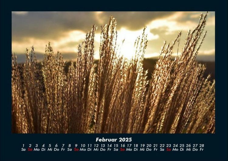 Produktbild: Bilder der Natur 2025 Fotokalender DIN A4