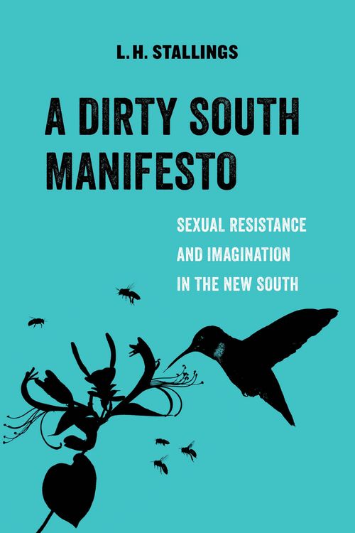 Produktbild: A Dirty South Manifesto