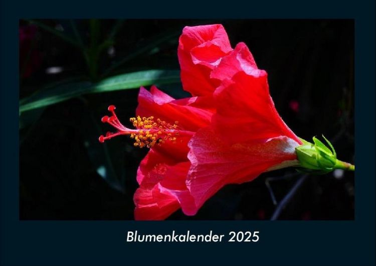 Produktbild: Blumenkalender 2025 Fotokalender DIN A4
