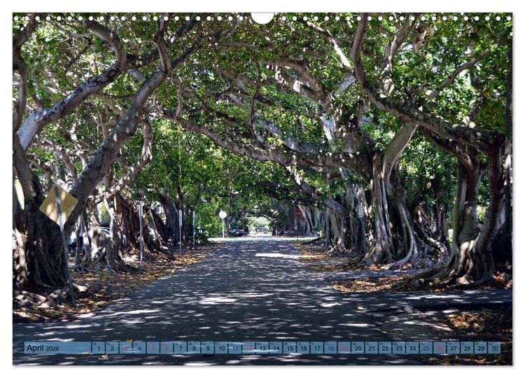 Produktbild: Florida Spots II (Wandkalender 2026 DIN A3 quer), CALVENDO Monatskalender