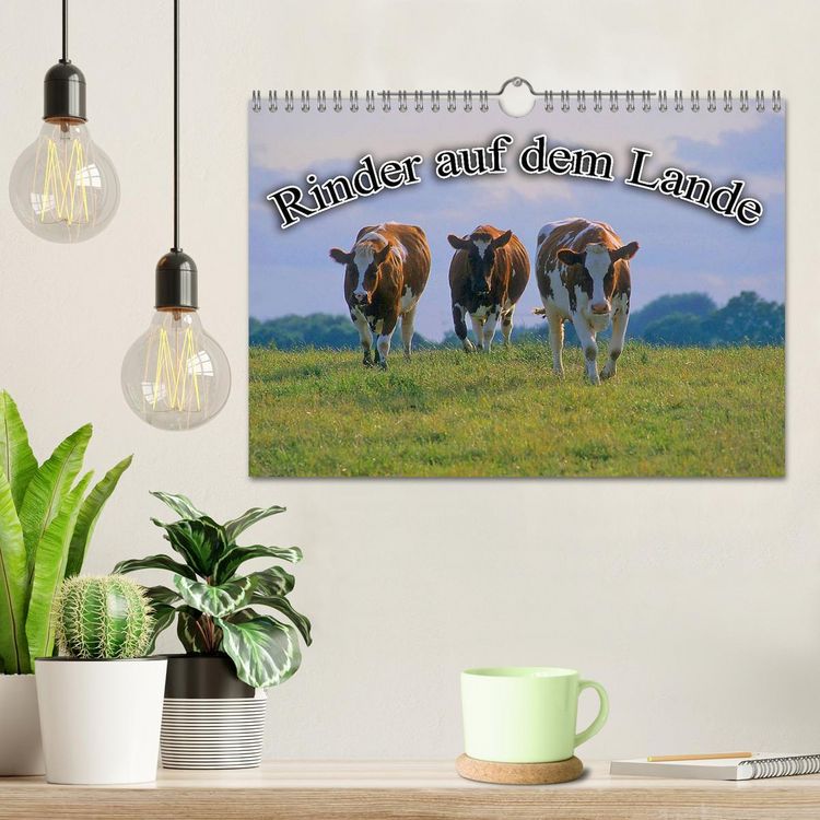 Produktbild: Rinder auf dem Lande (Wandkalender 2026 DIN A4 quer), CALVENDO Monatskalender