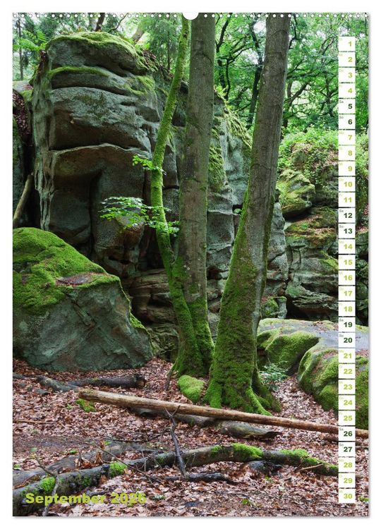 Produktbild: EIFEL - Kraftorte Wald und Wasser (hochwertiger Premium Wandkalender 2026 DIN A2 hoch), Kunstdruck in Hochglanz