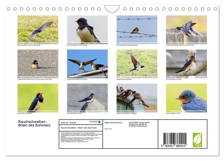 Produktbild: Rauchschwalben - Boten des Sommers (Wandkalender 2026 DIN A4 quer), CALVENDO Monatskalender