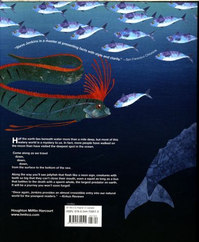Produktbild: Down, Down, Down: A Journey to the Bottom of the Sea