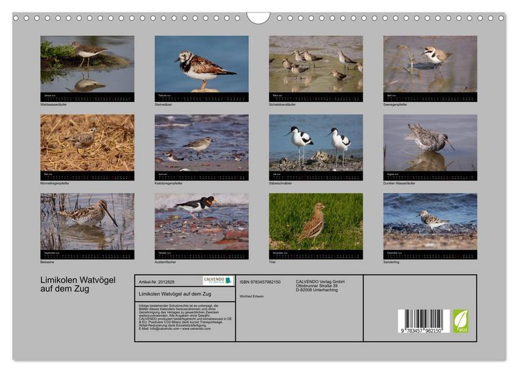 Produktbild: Limikolen Watv&ouml;gel auf dem Zug (Wandkalender 2026 DIN A3 quer), CALVENDO Monatskalender
