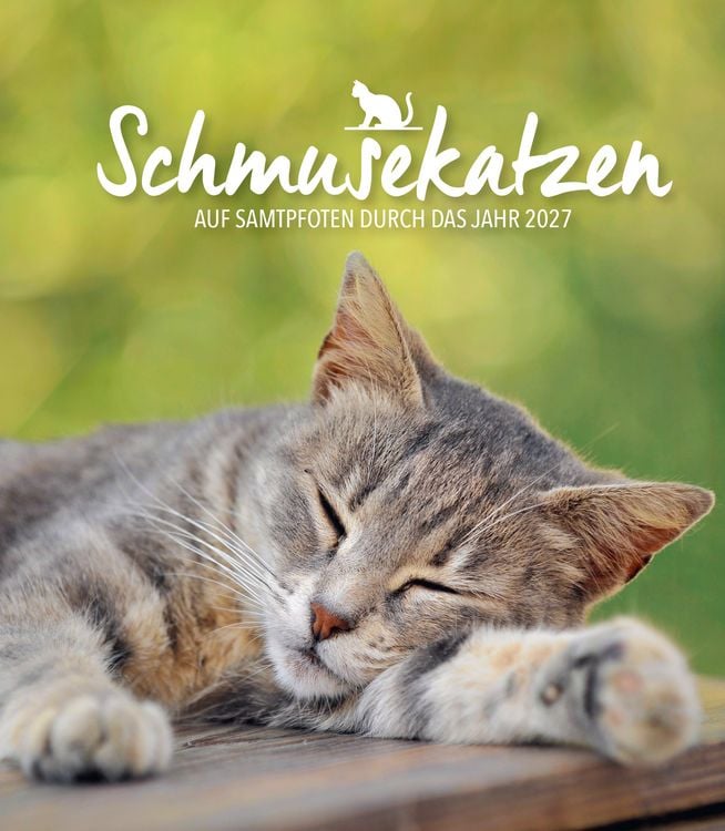 Produktbild: Diary Schmusekatzen 2027