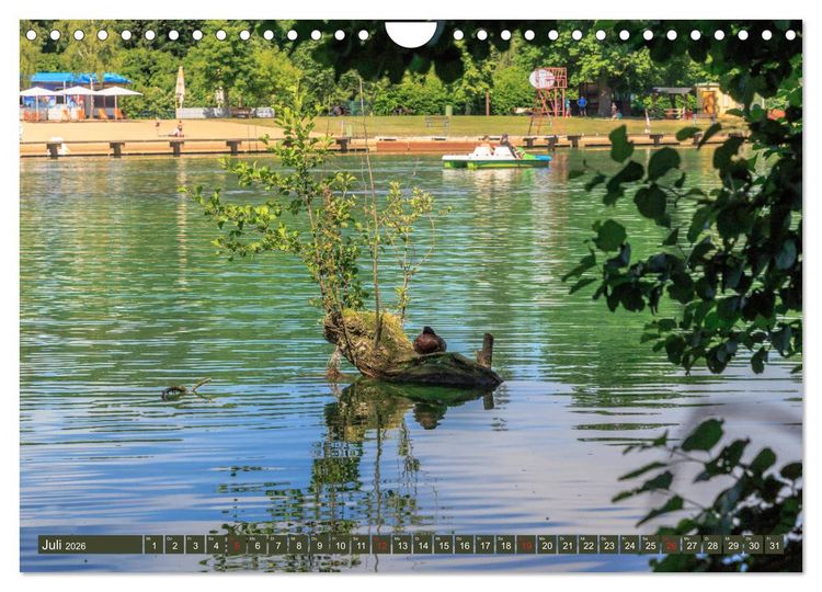 Produktbild: Wei&szlig;wasser - Phoenix aus Glas und Kohle (Wandkalender 2026 DIN A4 quer), CALVENDO Monatskalender