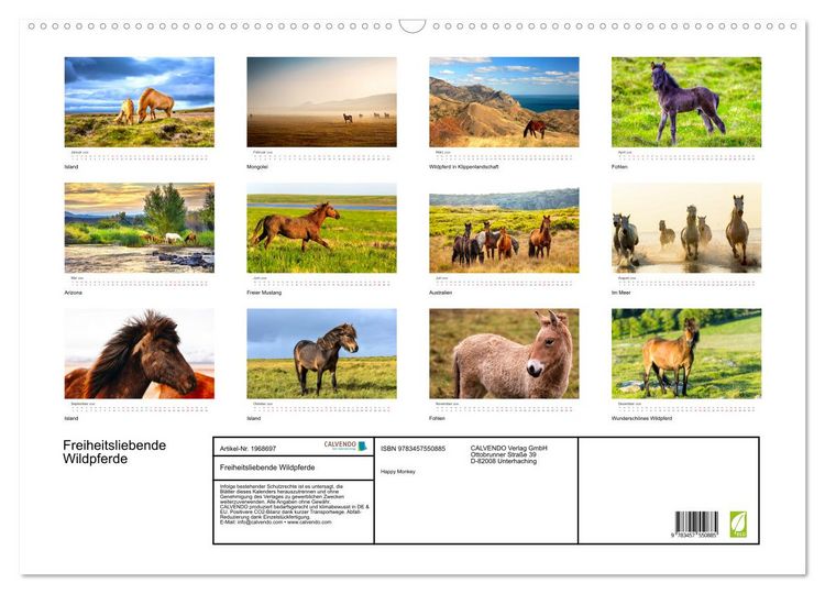 Produktbild: Freiheitsliebende Wildpferde (Wandkalender 2026 DIN A2 quer), CALVENDO Monatskalender