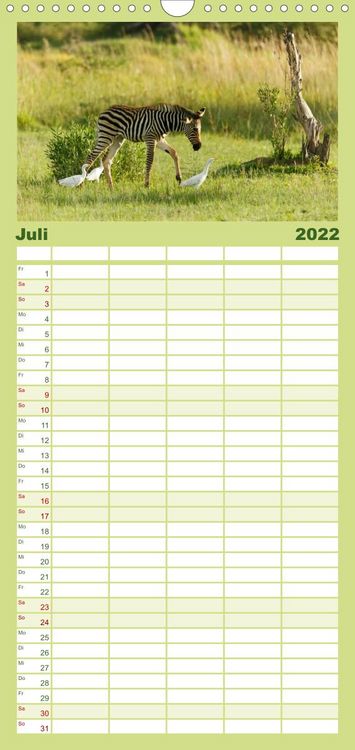 Produktbild: Familienplaner Zebras - Faszination der Wildnis (Wandkalender 2022 , 21 cm x 45 cm, hoch)