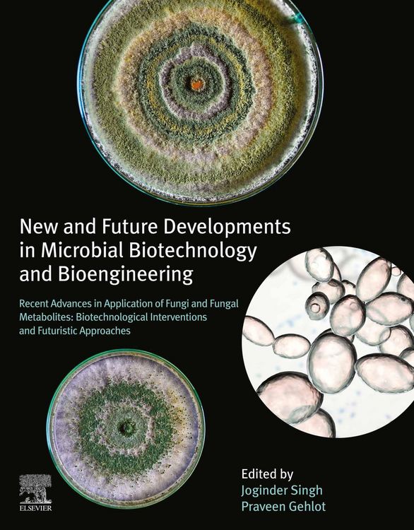 Produktbild: New and Future Developments in Microbial Biotechnology and Bioengineering