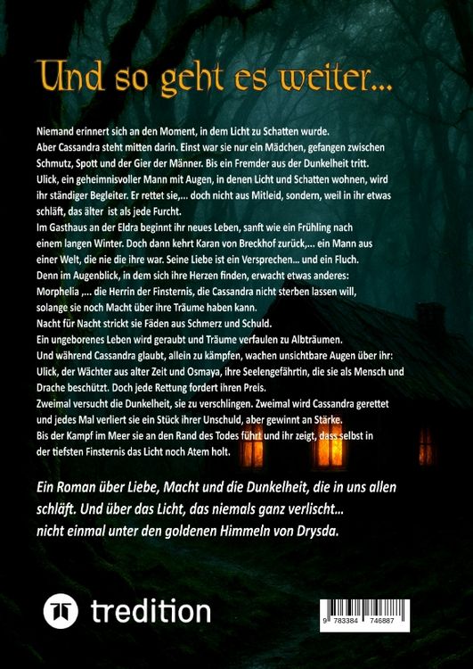 Produktbild: Im Auge des Drachens: Der Ruf der Finsternis