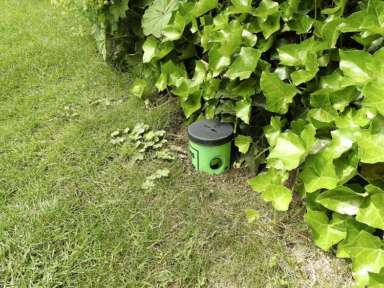 Produktbild: Swissinno Schneckenfalle Schneckenfalle Funktionsart Lockstoff 1St.