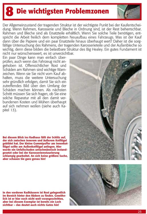 Praxisratgeber Klassikerkauf Austin Healey