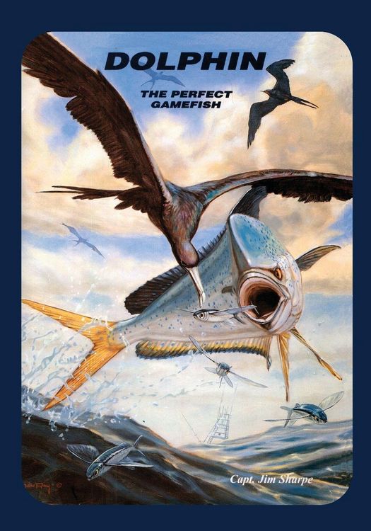 Produktbild: Dolphin