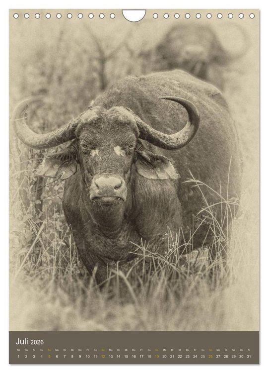 Produktbild: Afrikas Tierwelt - Sepia-Art (Wandkalender 2026 DIN A4 hoch), CALVENDO Monatskalender
