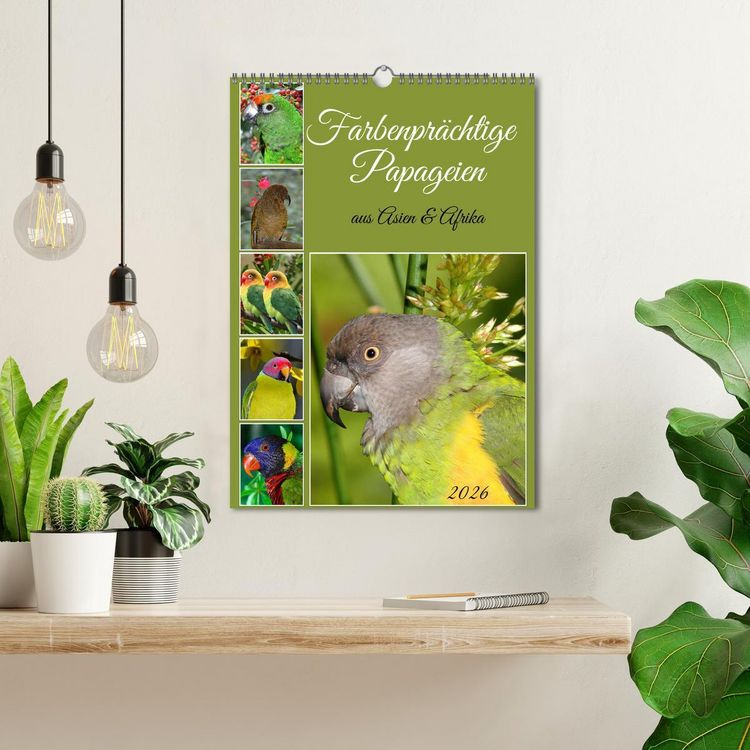 Produktbild: Farbenpr&auml;chtige Papageien aus Asien und Afrika (Wandkalender 2026 DIN A3 hoch), CALVENDO Monatskalender
