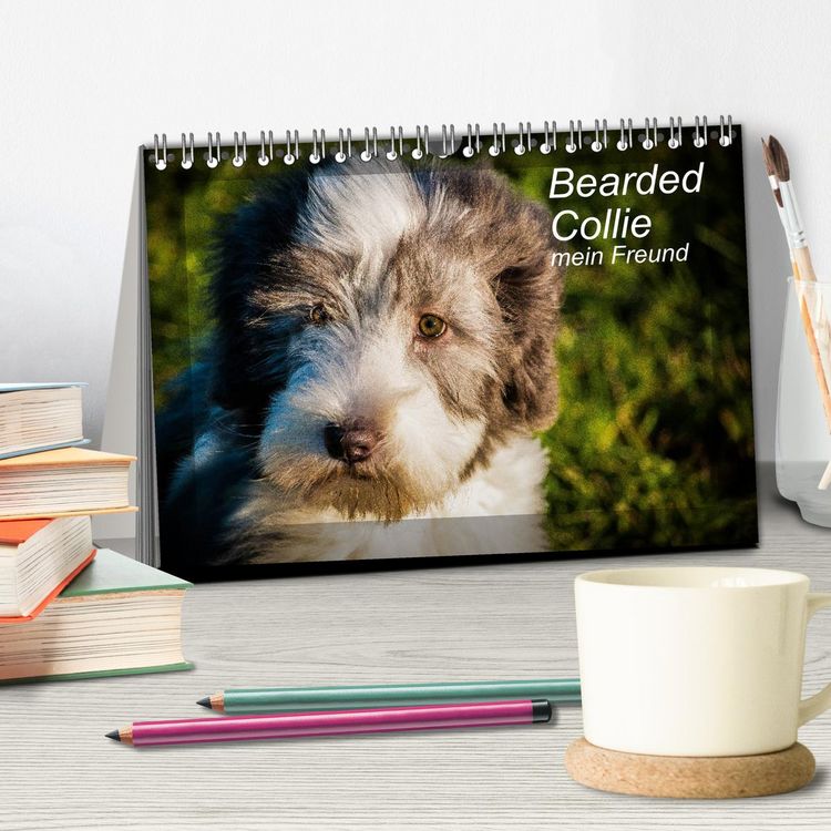 Produktbild: Bearded Collie, mein Freund (Tischkalender 2026 DIN A5 quer), CALVENDO Monatskalender