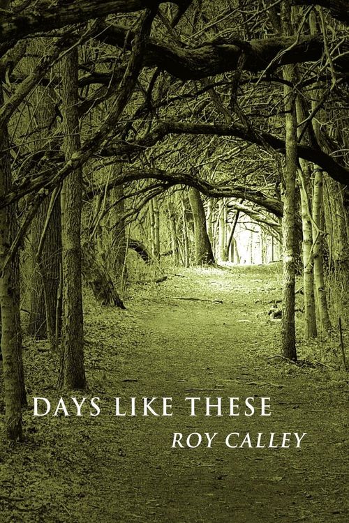 Produktbild: Days Like These