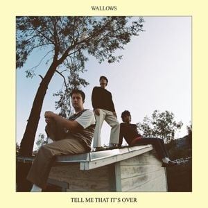 Produktbild: Wallows: Tell Me That It's Over