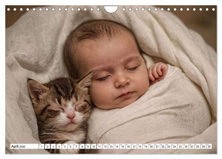 Produktbild: Zauberhaft schlafende Babies - Ruhig und friedlich (Wandkalender 2026 DIN A4 quer), CALVENDO Monatskalender