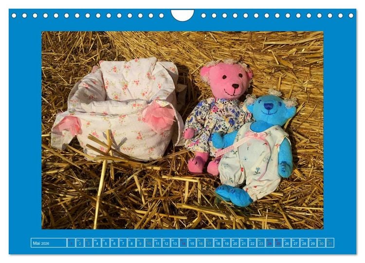 Produktbild: Der Baerchenladen, Teddys und Kunst zum Verlieben (Wandkalender 2026 DIN A4 quer), CALVENDO Monatskalender