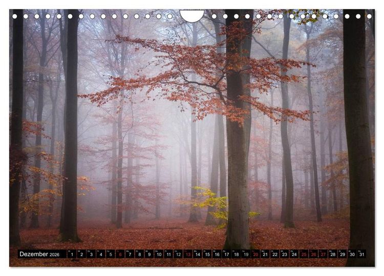 Produktbild: Zauberhafter Sachsenwald (Wandkalender 2026 DIN A4 quer), CALVENDO Monatskalender