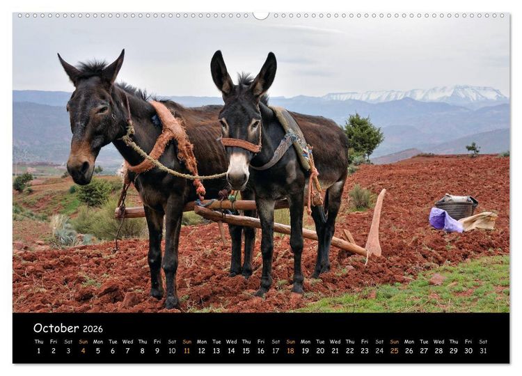 Produktbild: Impressions of Morocco 2026 (High Quality Premium Wall Calendar 2026 DIN A2 landscape),CALVENDO 12 Month Wall Calendar