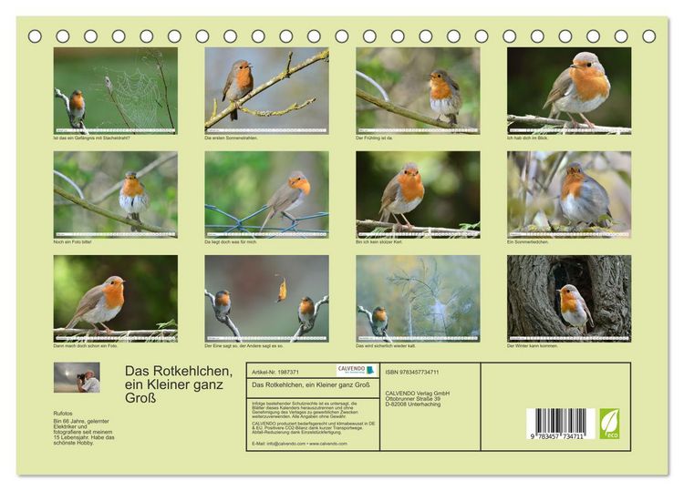 Produktbild: Das Rotkehlchen, ein Kleiner ganz Gro&szlig; (Tischkalender 2026 DIN A5 quer), CALVENDO Monatskalender