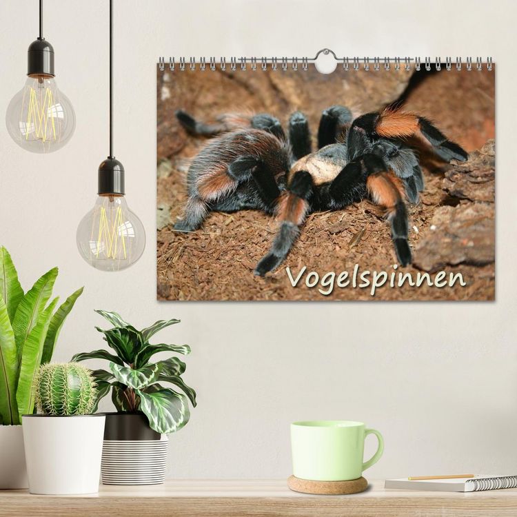 Produktbild: Vogelspinnen (Wandkalender 2026 DIN A4 quer), CALVENDO Monatskalender