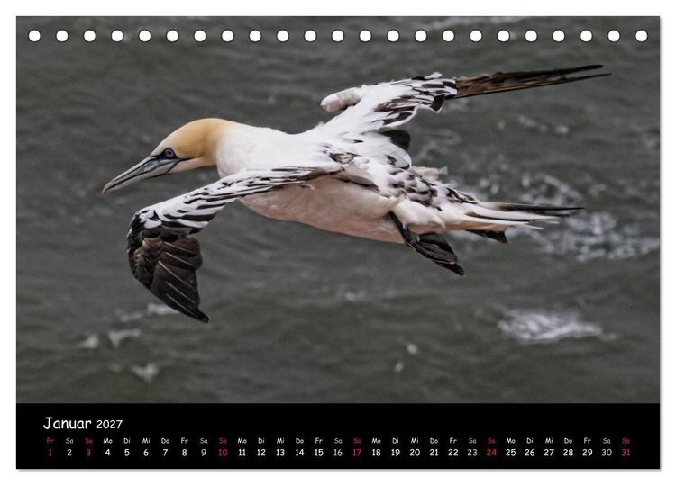 Produktbild: Helgoland und die D&uuml;ne (Tischkalender 2027 DIN A5 quer), CALVENDO Monatskalender