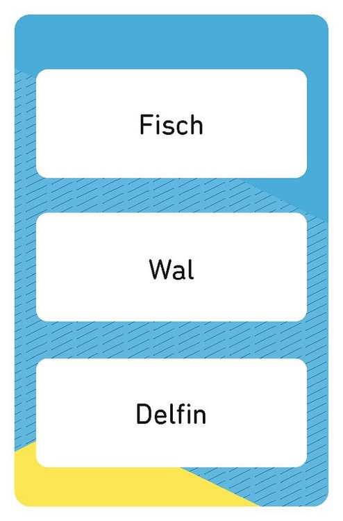 Produktbild: SAME WORD CHALLENGE