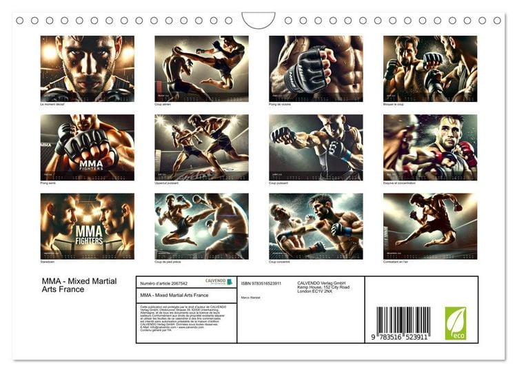 Produktbild: MMA - Mixed Martial Arts France (Calendrier mural 2026 DIN A4 vertical), CALVENDO calendrier mensuel