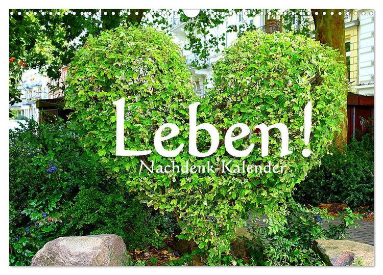 Produktbild: Leben! - Nachdenk-Kalender (Wandkalender 2026 DIN A3 quer), CALVENDO Monatskalender