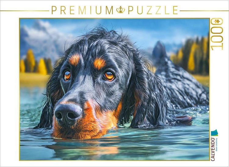 Produktbild: CALVENDO Puzzle Gordon Setter im Wasser | 1000 Teile Lege-Gr&ouml;&szlig;e 64x48cm Foto-Puzzle f&uuml;r gl&uuml;ckliche Stunden