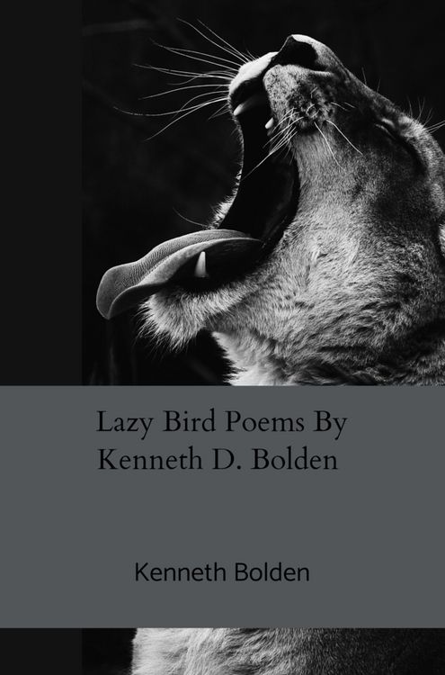 Produktbild: Lazy Bird Poems By Kenneth D. Bolden