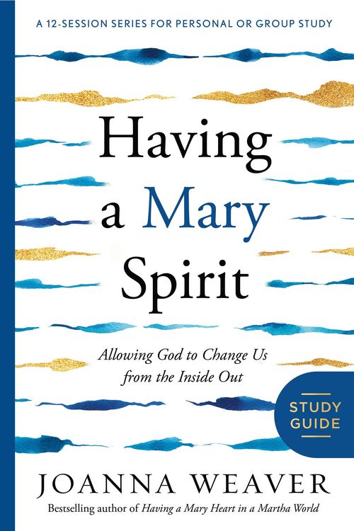 Produktbild: Having a Mary Spirit