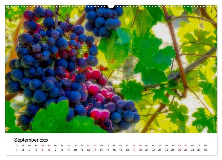 Produktbild: Piemont und Turin (Wandkalender 2026 DIN A2 quer), CALVENDO Monatskalender